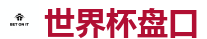 世界杯盘口_2026 FIFA 世界杯(下注)官方中文站